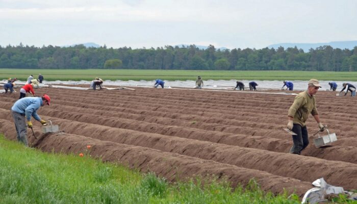 herziening pachtwetgeving