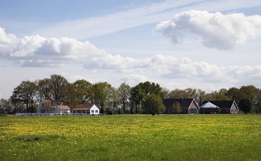 relativiteitsvereiste omgevingsrecht