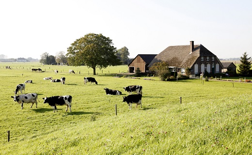 Hoeve pacht